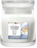 Yankee Candle Silver Birch Geurkaars Rond Fris, Hout Wit 1 stuk(s)