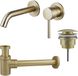 Fortifura Calvi Wastafelkraanset - inbouw wastafelkraan - klikwaste plug - verlaagde design sifon - PVD - geborsteld messing (goud)