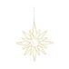 Lumineo Poolster Kerstverlichting Buiten - 235 Leds