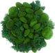 Unyqoos® Mosstenen Decoratieset, 30-delig