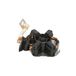 Bosch 2 004 336 237 Starter motor koolborstelhouder