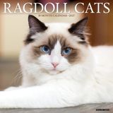 Ragdoll Willow Creek Press Ragdoll Cats 2027 12 X 12 Wall Calendar