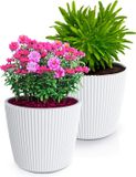 Prosperplast Plantenpot/bloempot Buckingham - 2x - buiten/binnen - ivoor wit - D17 x H15 cm
