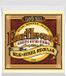 Ernie Ball 2043 Earthwood Akoestische Gitaar Snaren Regular Silk & Steel (013–056)