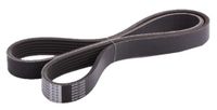 Japanparts DV-6PK1030 V-geribbelde riem