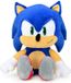 Rubie's Kidrobot Sonic Hug Me Knuffel