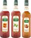 Teisseire Sirops pour Latte et Macchiato - Caramel, Vanille, Noisette - 2x70cl et 1x1l