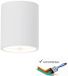 Artdelight Plafondlamp Toulouse glad Ø 11 cm gips wit