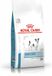 Royal Canin Skin Care Small Dogs 2kg
