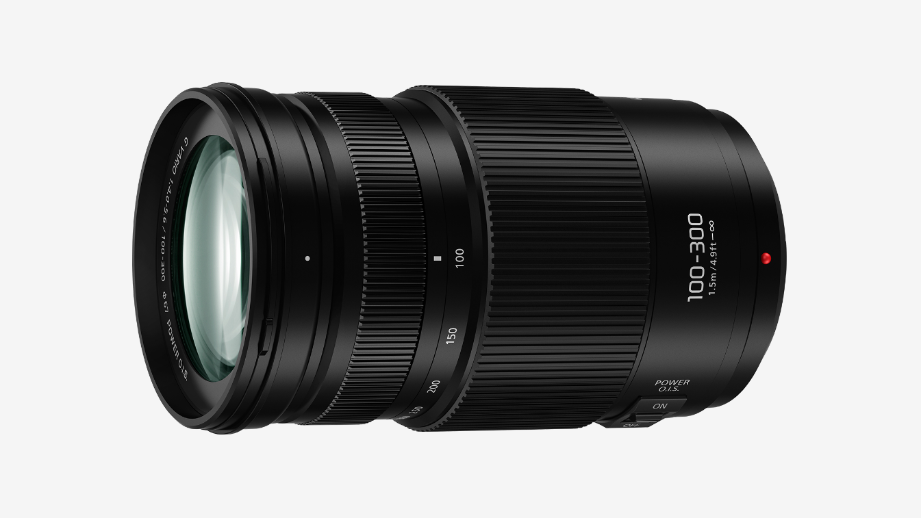 Panasonic Lumix G VARIO
