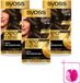 SYOSS Oleo Intense 5-10 Brun Froid Coloration Permanente - 3 Pièces