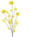 Buitengewoon Boet Kunsttak Prunus Malaga Yellow/Pink - 126 cm