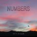 V2 Red Eye Numbers - We're Animals