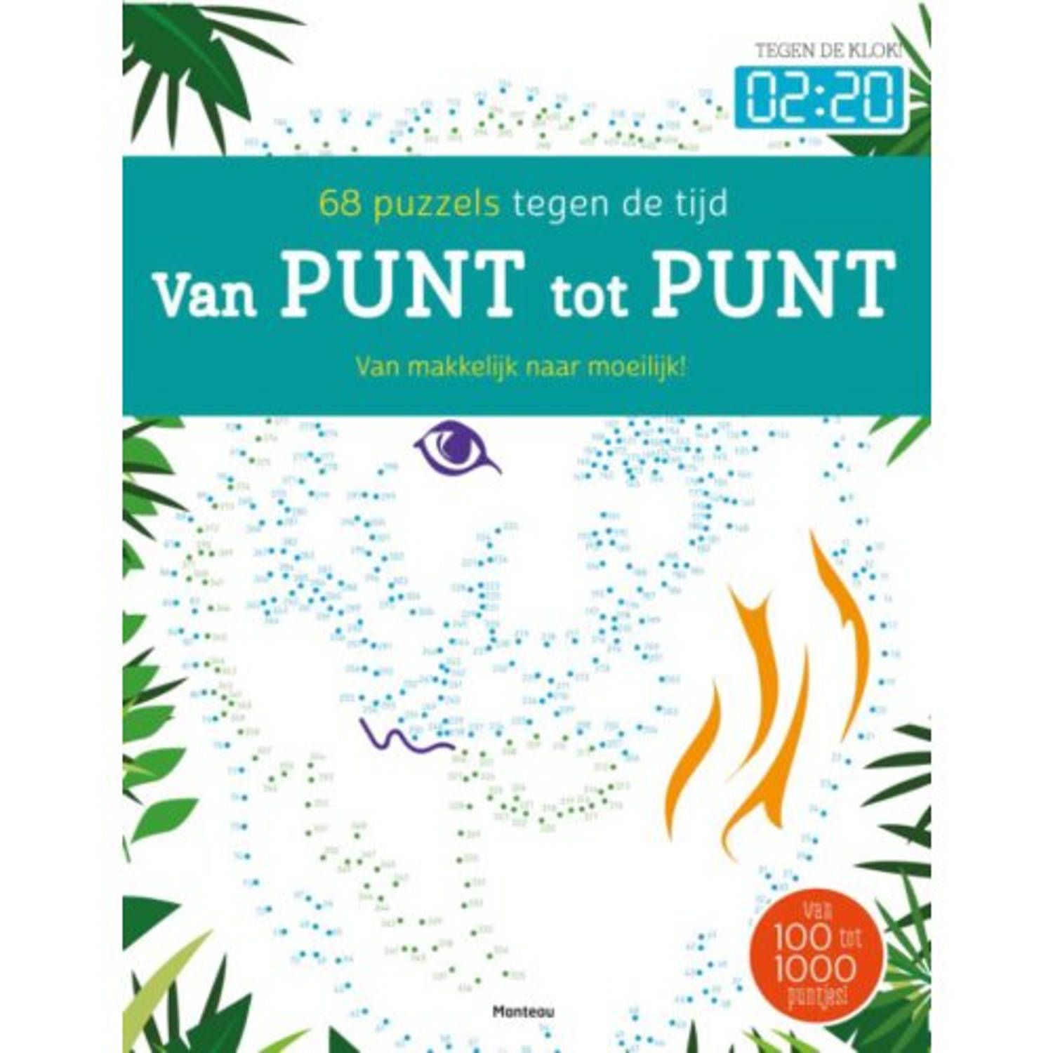 Van punt tot punt