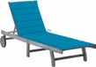 vidaXL Lit de jardin avec coussin acacia massif gris