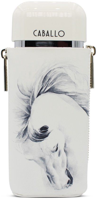 Armaf Eau de Parfum / 100 ml / Heren