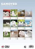 CalendarsRUs Samojeed A3 Kalender 2027
