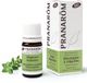 Pranarom Pranarôm Echte Marjolein Essentiële Olie Bio 5ml