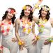 Boland - Set Hawaï Sunshine - Volwassenen - Unisex - Hawaii - Themafeest