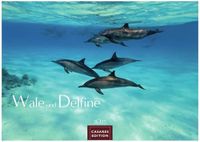 Wale Casares Fine Art Edition Wale und Delfine Kalender 2027 - Wandkalender | Fotokalender Tierkalender 24x35cm