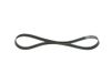 BOSCH 1 987 946 250 Courroie Poly-V