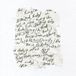 Body Dilloway Head LP