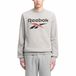 Reebok Identity Big Logo Medium Grey Heather/vector Red Hoodie - Men's - Size M