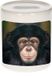 Bellatio Decorations Dieren leuke chimpansee foto spaarpot 9 cm jongens en meisjes - Cadeau spaarpotten leuke chimpansee apen liefhebber