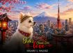 Tobi's Search for Love: A Touching Story About Love, Trust, and Family