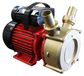 Pompe de circulation, 65 litres par minute, laiton, 0,95 ch, 1400 tours par minute
