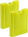 Plasticforte Koelelementen - 4 stuks - 260 gram - 13 x 10 cm - groen