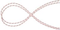 Mammut Performance Static 10 mm corde rouge 50 m