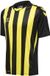 Hummel Kindersportshirt Hmlcore Xk gestreept jersey S/S Kids 212642
