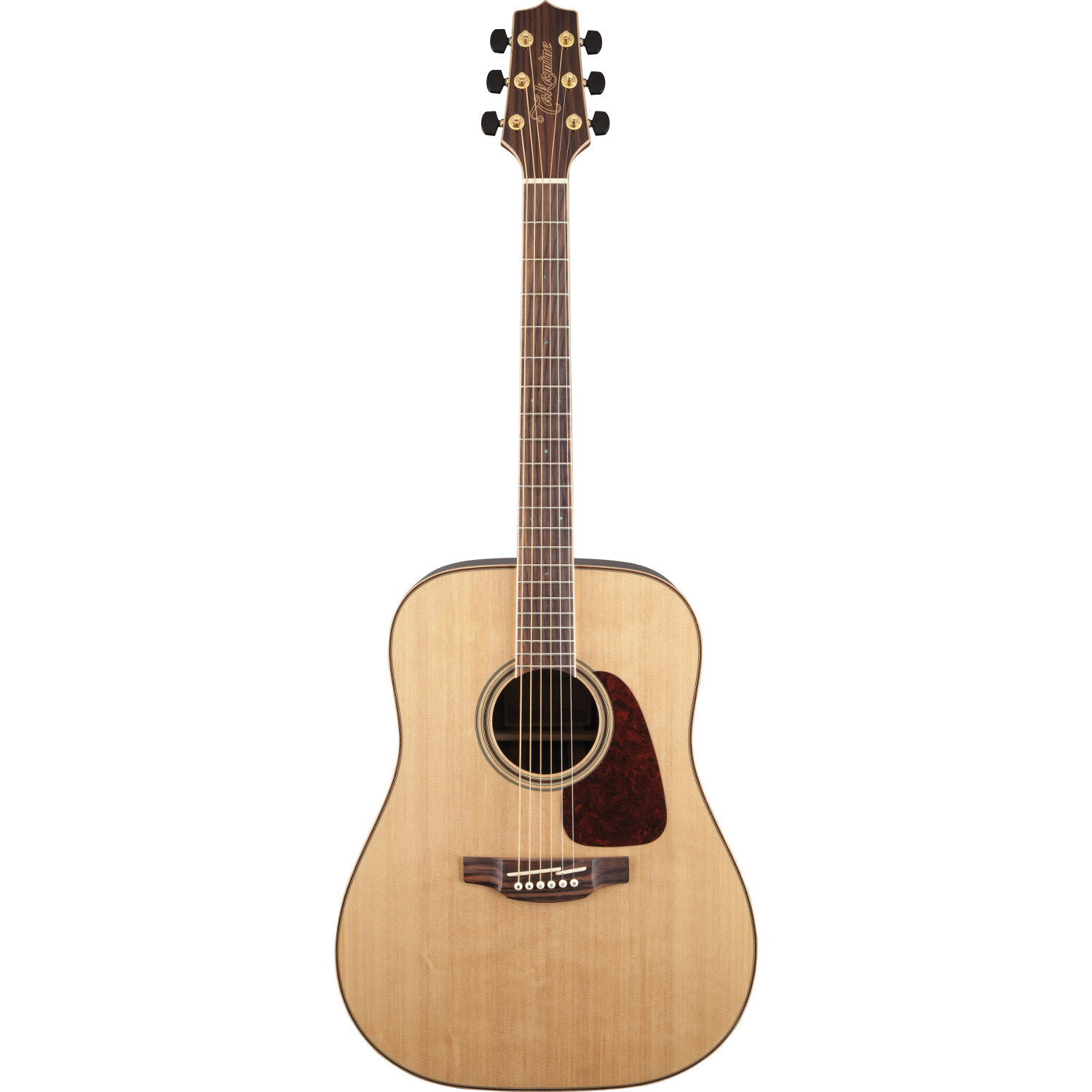 Takamine GD93-NAT