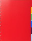 Exacompta 10x Tabbladen voor showalbum met ringen- gekleurde PP - 6 tabs - A4 - Geassorteerd