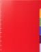 Exacompta 10x Tabbladen voor showalbum met ringen- gekleurde PP - 6 tabs - A4 - Geassorteerd