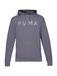 PUMA M Cloudspun Branded Hoodie