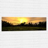 Merkloos Muursticker - Grasveld voor Zon verdwijnend achter Palmbomen - 120x40 cm