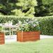 Maison Exclusive - Jardinière surélevée, couleur rouille, 100x40x45 cm, version acier Corten
