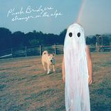 Stranger Phoebe Bridgers - Stranger In The Alps
