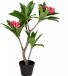 Overige Merken Kunstplant plumeria 50x90 cm roze/groen