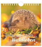 Geheimnisvolles Neumann Verlage GmbH & Co KG Geheimnisvolles Waldleben 2027