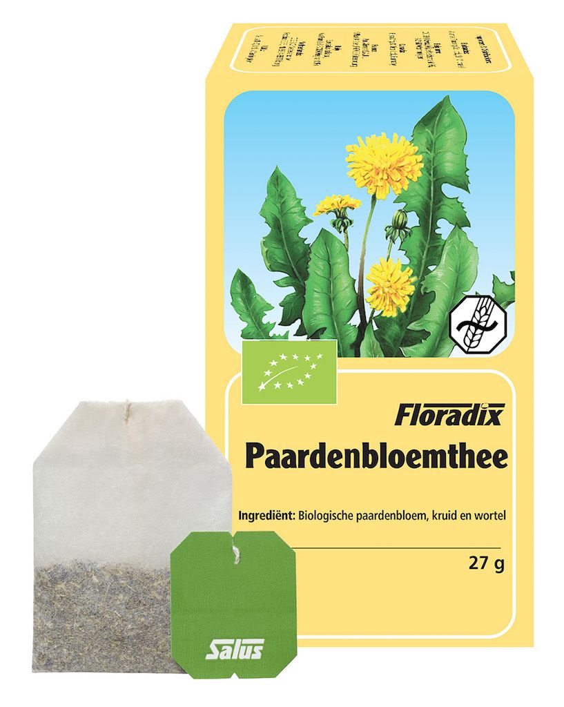 SALUS Thee Paardenbloem Zakjes