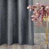 Eurofirany 428730 Gordijn & Overgordijn Grafiet Polyester Zeilring 1400 x 2500 mm