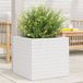 Maison Exclusive - Pot de fleurs pour extérieur, blanc, 50 x 50 x 46 cm, pin massif