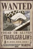 GB Your Decoration B.V. Poster One Piece - Wanted Law Wano 38x52cm