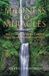 Madness Libri GmbH Madness to Miracles: Encounters with Christ That Transformed My Life