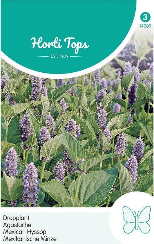 Hortitops Agastache Dropplant (mexicana)