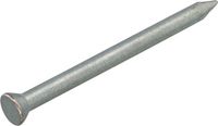 Hoenderdaal Fasteners Hjz Betonnagel 2,5x30mm - Gehard Staal - Plat Conische Kop (250 stuks)