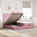 Maison Exclusive - Cadre de lit ottoman avec matelas rose 180x200cm velours